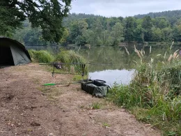 Thiergartenweiher (Büdingen)