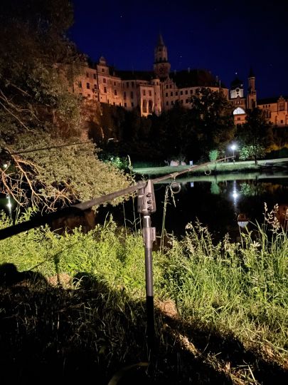 Donau (Sigmaringen)-2