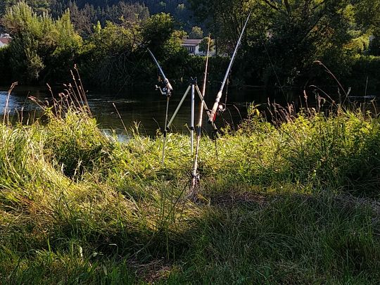 Donau (Sigmaringen)-4