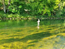 Donau (Sigmaringen)-1