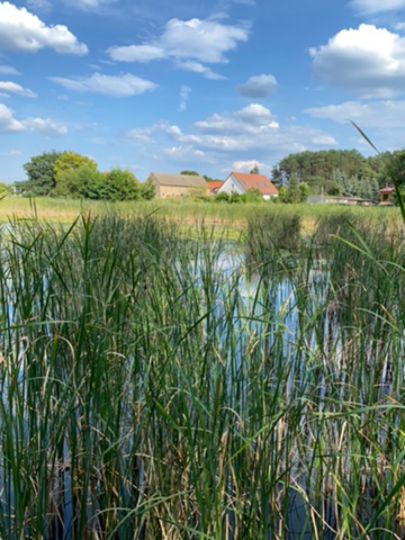 Hintersee (Dobbrikow)-1