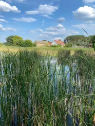 Hintersee (Dobbrikow)-1