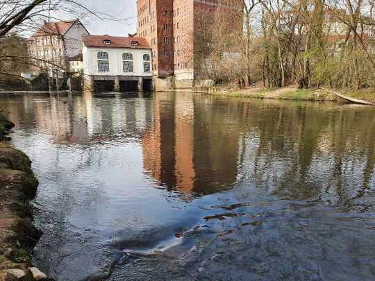 Pegnitz (Fürth) angeln