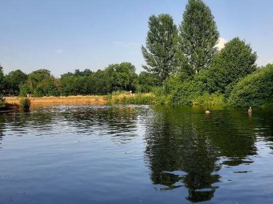 Pegnitz (Fürth)-2