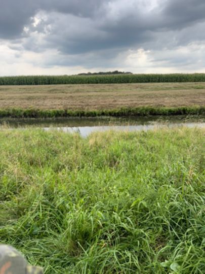 Hase (Bersenbrück)-2