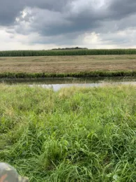 Hase (Bersenbrück)-2