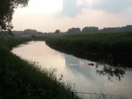 Hase (Bersenbrück)-1