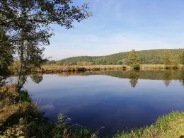 Scharlgrube (Etzenricht)-4