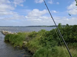 Schlei (Große Breite)-1