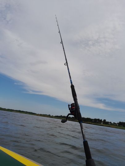 Schlei (Große Breite)