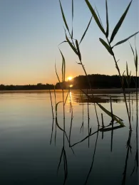 Bernsteinsee (Ruhlsdorf)-3