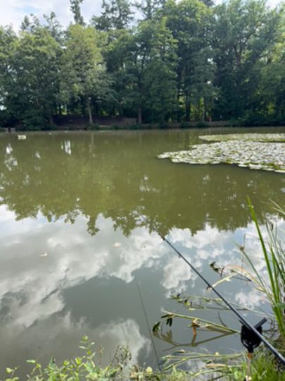 Teich Dornholzhausen-2