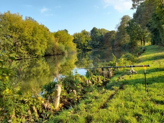 Angelteich am Hellbach (Derenburg)-2