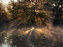 Angelteich am Hellbach (Derenburg)-4