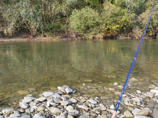 Varínka (Krasňany)