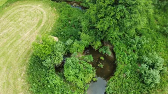 Unterer Haselbach (Eschlkam)