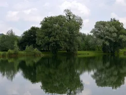 Reischenharter See-1