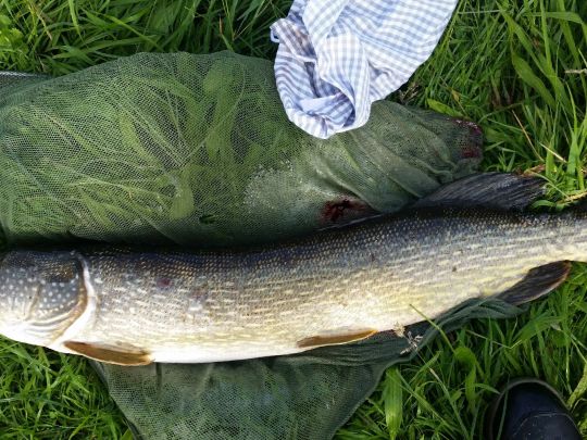 Mühlengraben (Heessen)-2