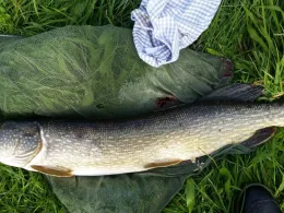 Mühlengraben (Heessen)-2