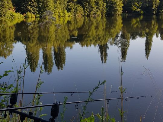 Erlensee (Mainzlar)-1