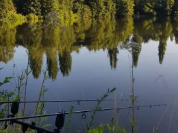 Erlensee (Mainzlar)-1