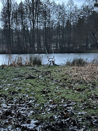 Erlensee (Mainzlar)-2