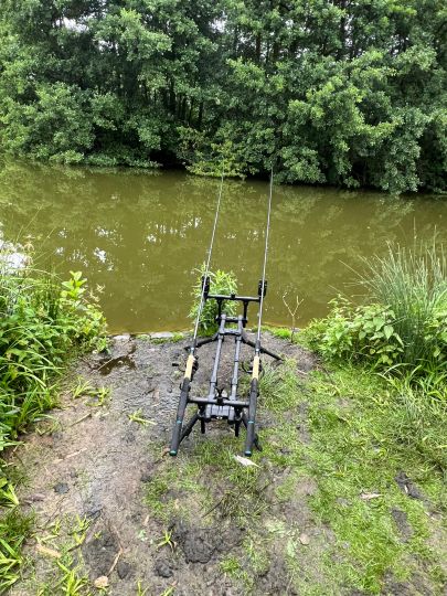 Erlensee (Mainzlar)-3