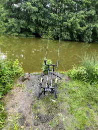 Erlensee (Mainzlar)-3