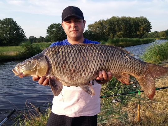 EmsJadeKanal (Wilhelmshaven) ALLE ANGELN
