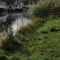 Ems-Jade-Kanal (Wilhelmshaven)-1