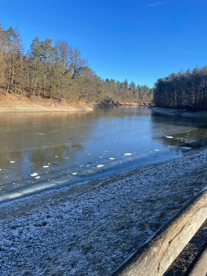 Neuer See (Stuttgart)-3
