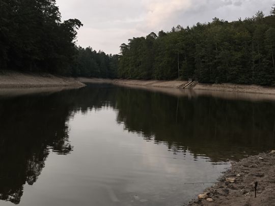 Neuer See (Stuttgart)-4