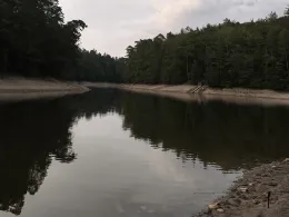 Neuer See (Stuttgart)-4