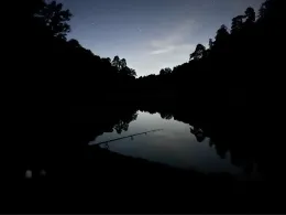 Neuer See (Stuttgart)