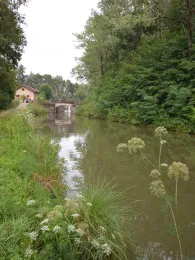 Ludwig-Donau-Main-Kanal (Lindelburg)-1