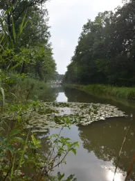 Ludwig-Donau-Main-Kanal (Lindelburg)-3