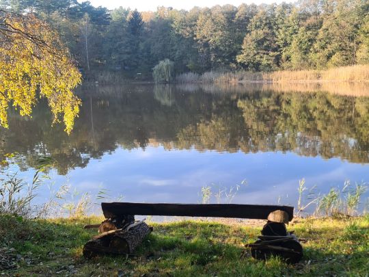 Göhlensee ALLE ANGELN