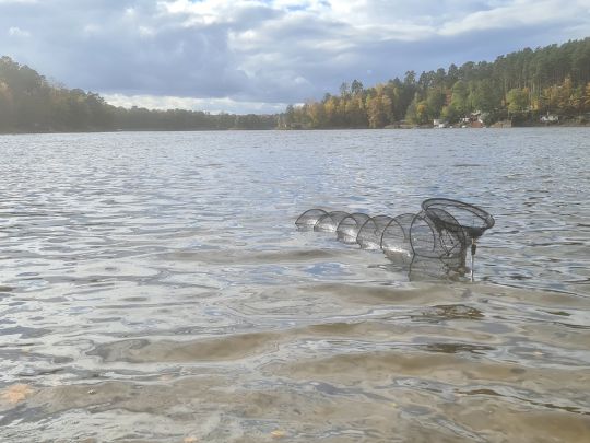 Göhlensee ALLE ANGELN