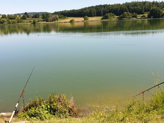 Andelshofer Weiher-2