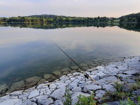 Andelshofer Weiher angeln