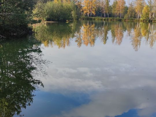 Blauer Weiher (Etzenricht)-2