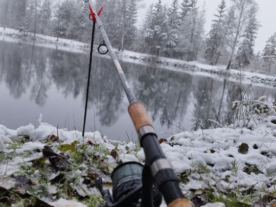 Blauer Weiher (Etzenricht)-3