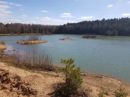 Blauer Weiher (Etzenricht)-4