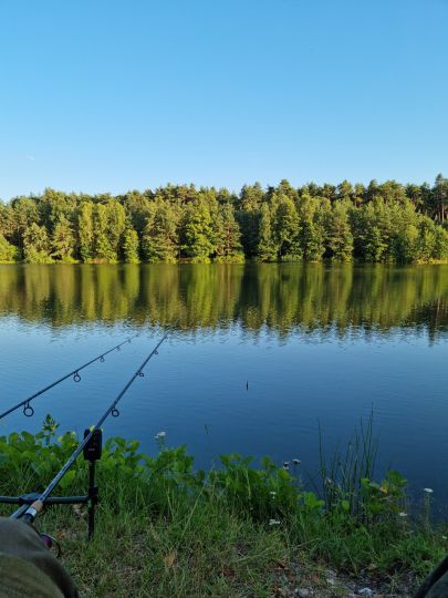 Blauer Weiher (Etzenricht)-1