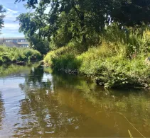 Weschnitz (Einhausen)