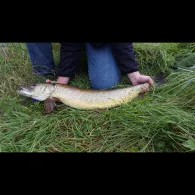 Weschnitz (Einhausen)-1