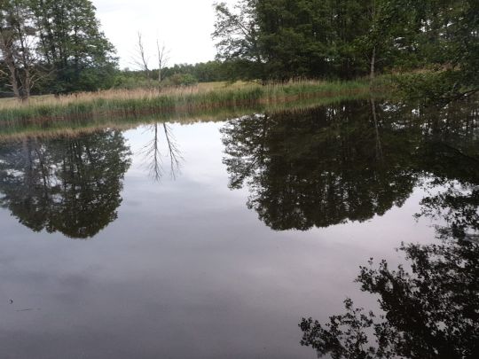 Langes Elsenfließ-1