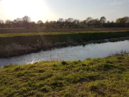 Steinhuder Meerbach-0