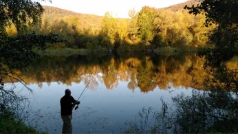 Potthast (Godelheim)