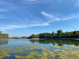 Angelhofer/Reffenthaler Altrhein-3